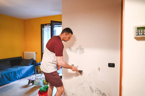 Best Fast Mold Removal  in Valley Stream, NY